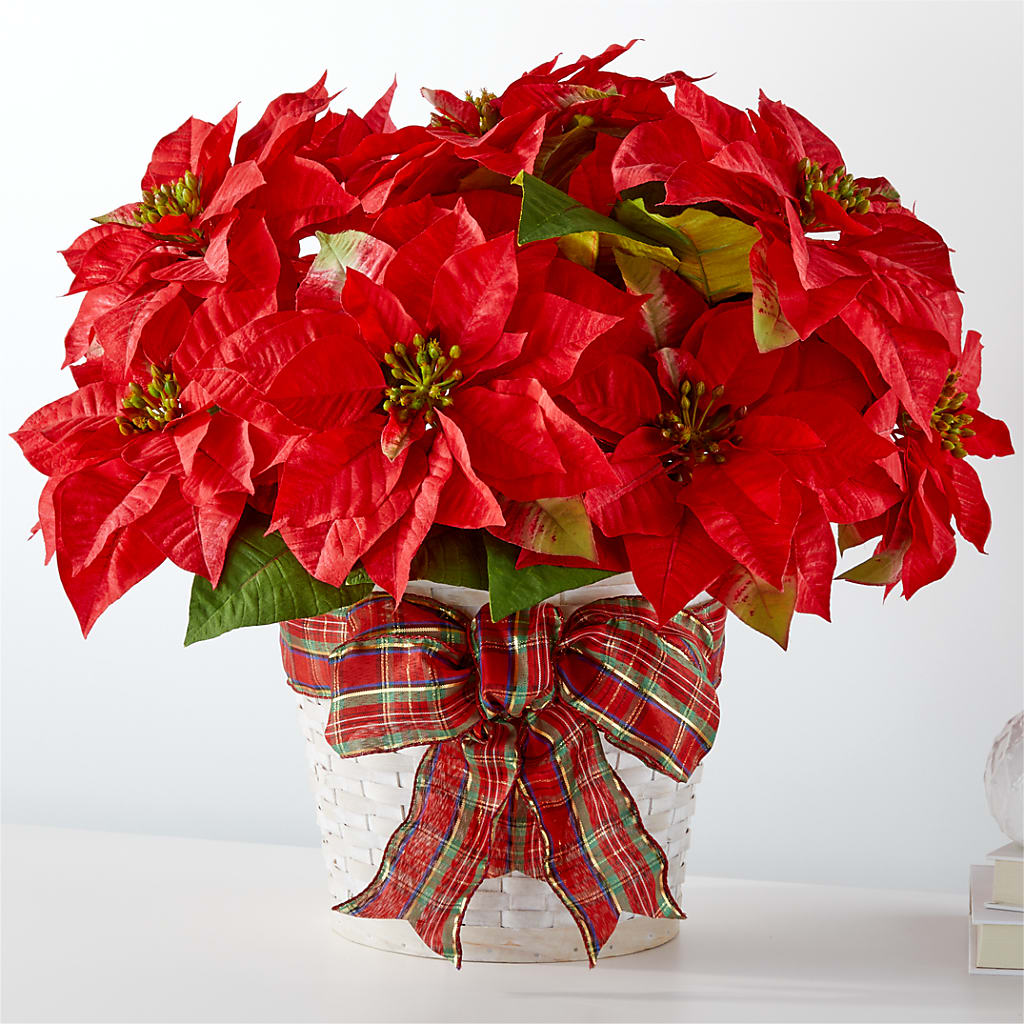 Happiest Holidays Poinsettia – FELTY-ROLAND FLORIST & PLANT INC, Elizabethton TN