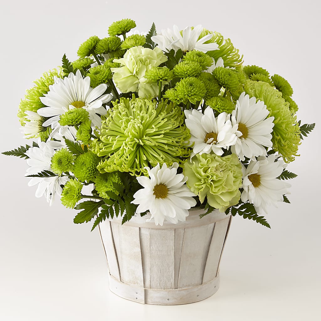Lucky Charm Basket (Standard) – FELTY-ROLAND FLORIST & PLANT INC, Elizabethton TN