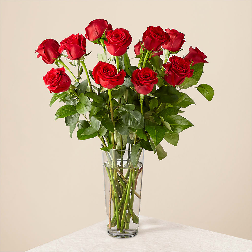 Long Stem Red Rose Bouquet – FELTY-ROLAND FLORIST & PLANT INC, Elizabethton TN
