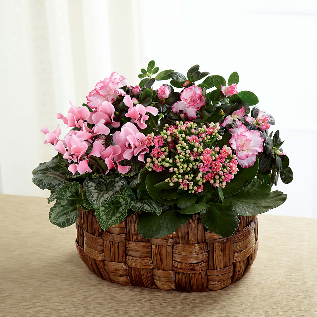 Pink Assortment – FELTY-ROLAND FLORIST & PLANT INC, Elizabethton TN