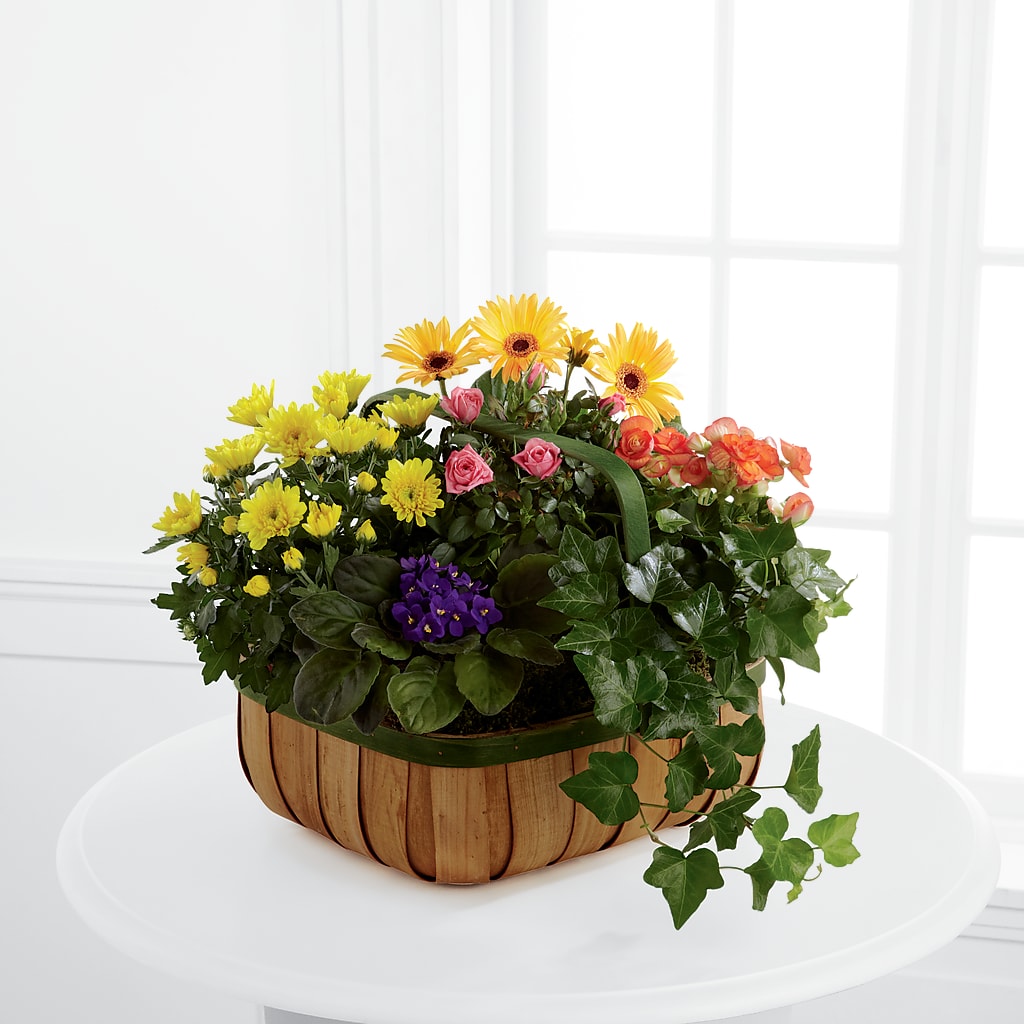 Gentle Blossoms Basket – FELTY-ROLAND FLORIST & PLANT INC, Elizabethton TN
