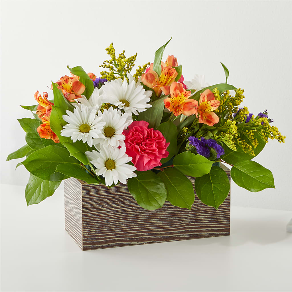 Oopsie Daisy Box Bouquet – FELTY-ROLAND FLORIST & PLANT INC, Elizabethton TN