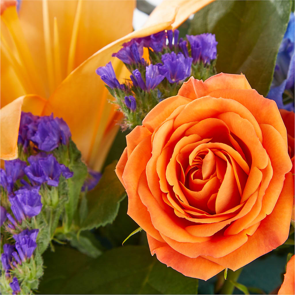 Radiant Citrus Box Bouquet – FELTY-ROLAND FLORIST & PLANT INC, Elizabethton TN