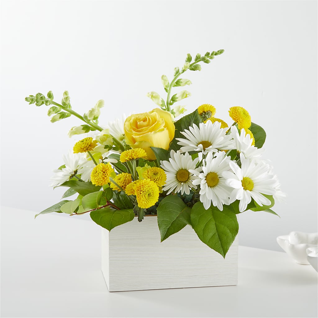 Sun Salutation Box Bouquet – FELTY-ROLAND FLORIST & PLANT INC, Elizabethton TN