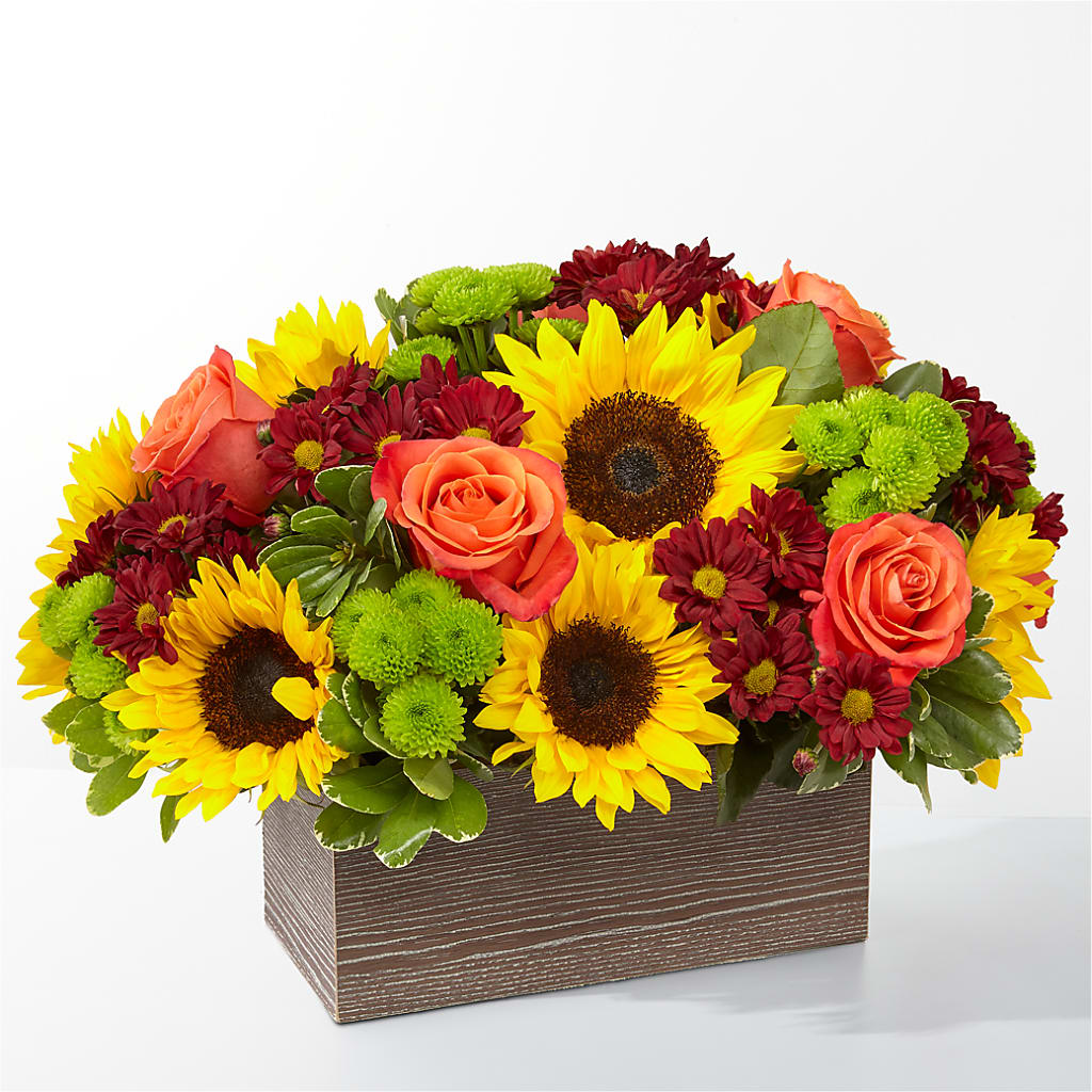 Happy Harvest Garden – FELTY-ROLAND FLORIST & PLANT INC, Elizabethton TN