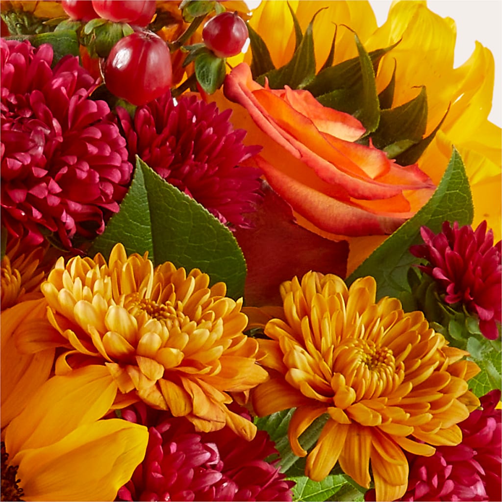 Sweater Season - A Florist Original – FELTY-ROLAND FLORIST & PLANT INC, Elizabethton TN