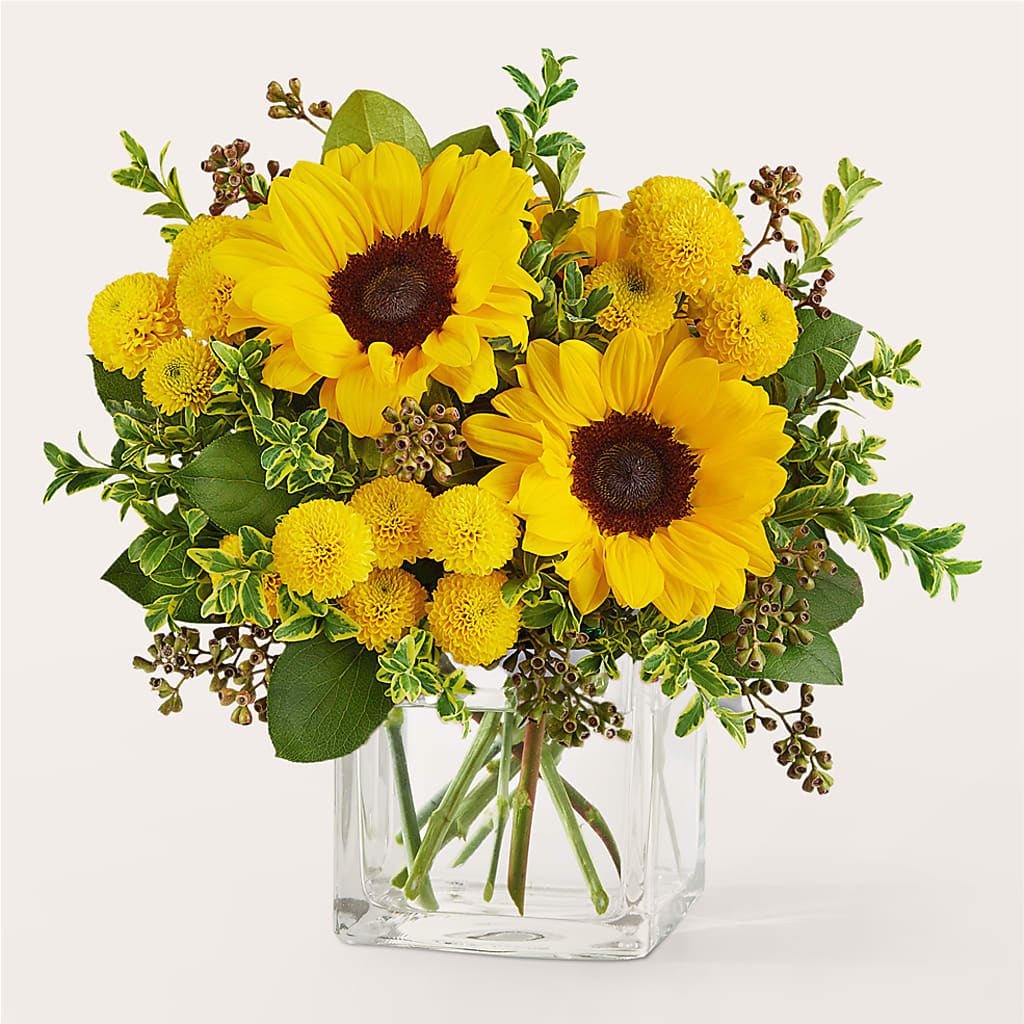 Luminous Morning Bouquet – FELTY-ROLAND FLORIST & PLANT INC, Elizabethton TN