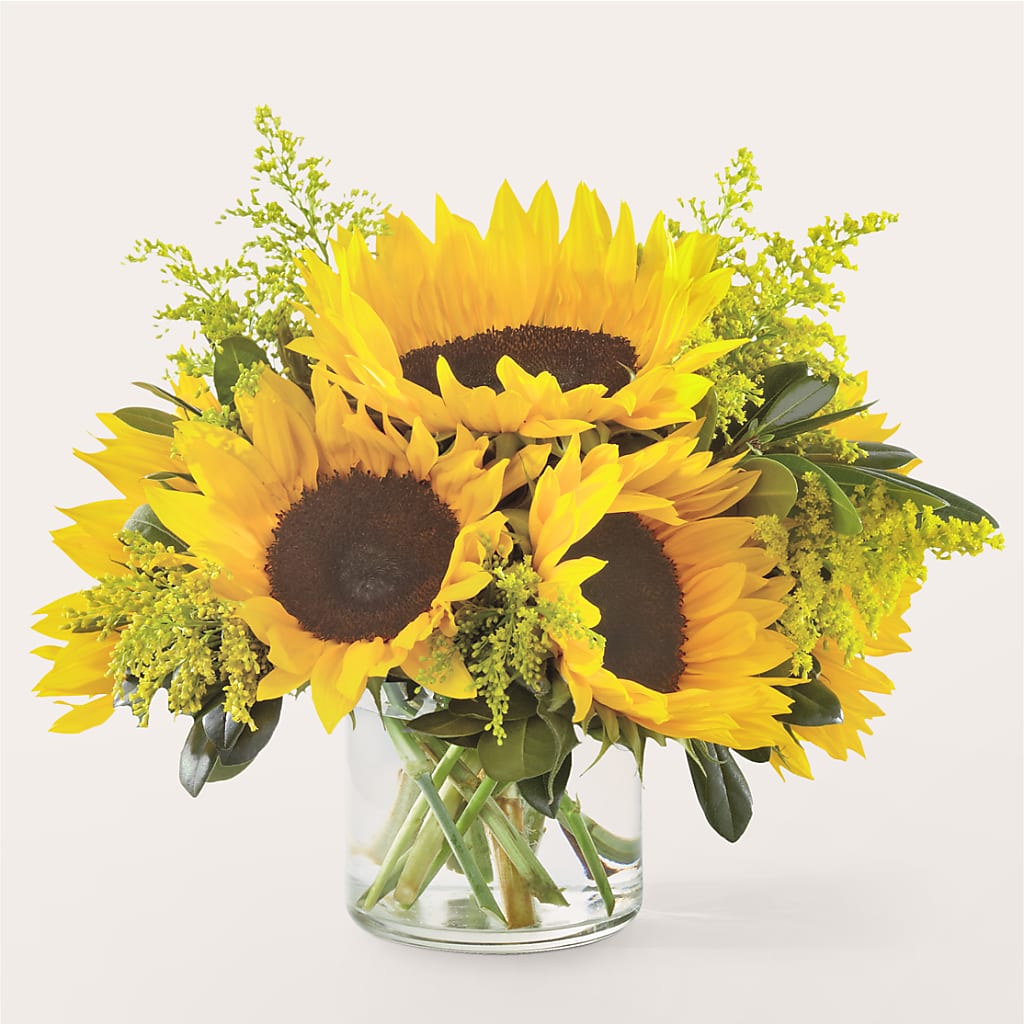Beaming Sunflower Bouquet – FELTY-ROLAND FLORIST & PLANT INC, Elizabethton TN