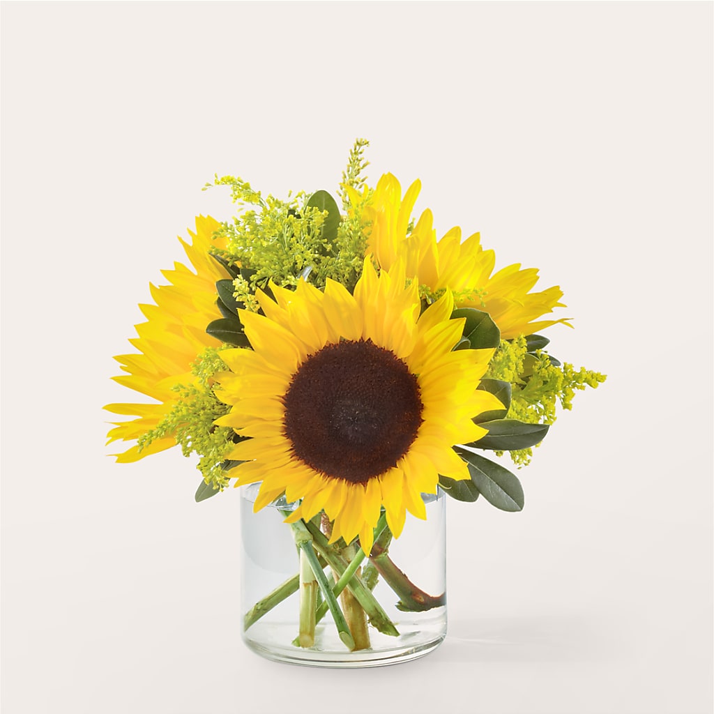 Beaming Sunflower Bouquet – FELTY-ROLAND FLORIST & PLANT INC, Elizabethton TN