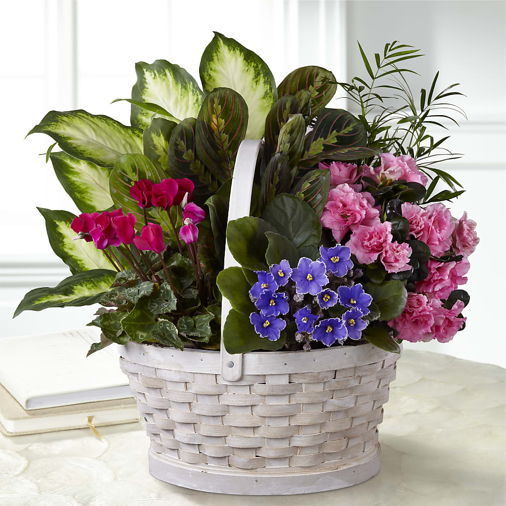 Peaceful Garden Planter – FELTY-ROLAND FLORIST & PLANT INC, Elizabethton TN