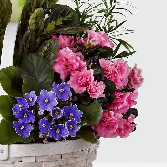 Peaceful Garden Planter – FELTY-ROLAND FLORIST & PLANT INC, Elizabethton TN