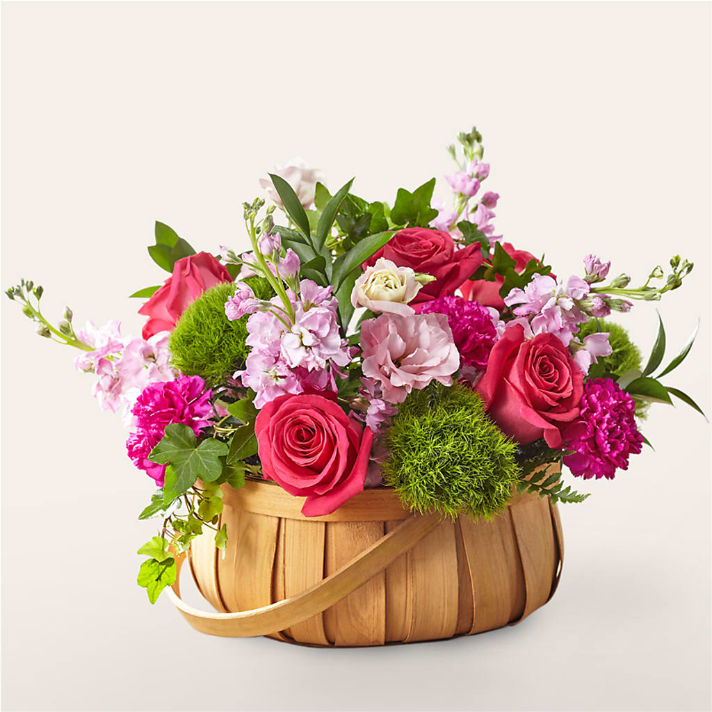 Radiance in Bloom Basket – FELTY-ROLAND FLORIST & PLANT INC, Elizabethton TN
