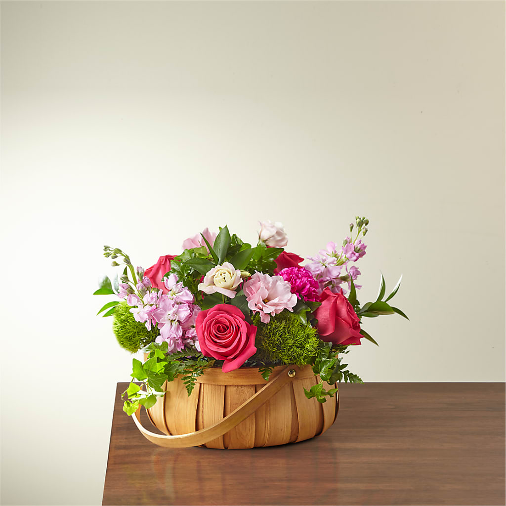 Radiance in Bloom Basket – FELTY-ROLAND FLORIST & PLANT INC, Elizabethton TN