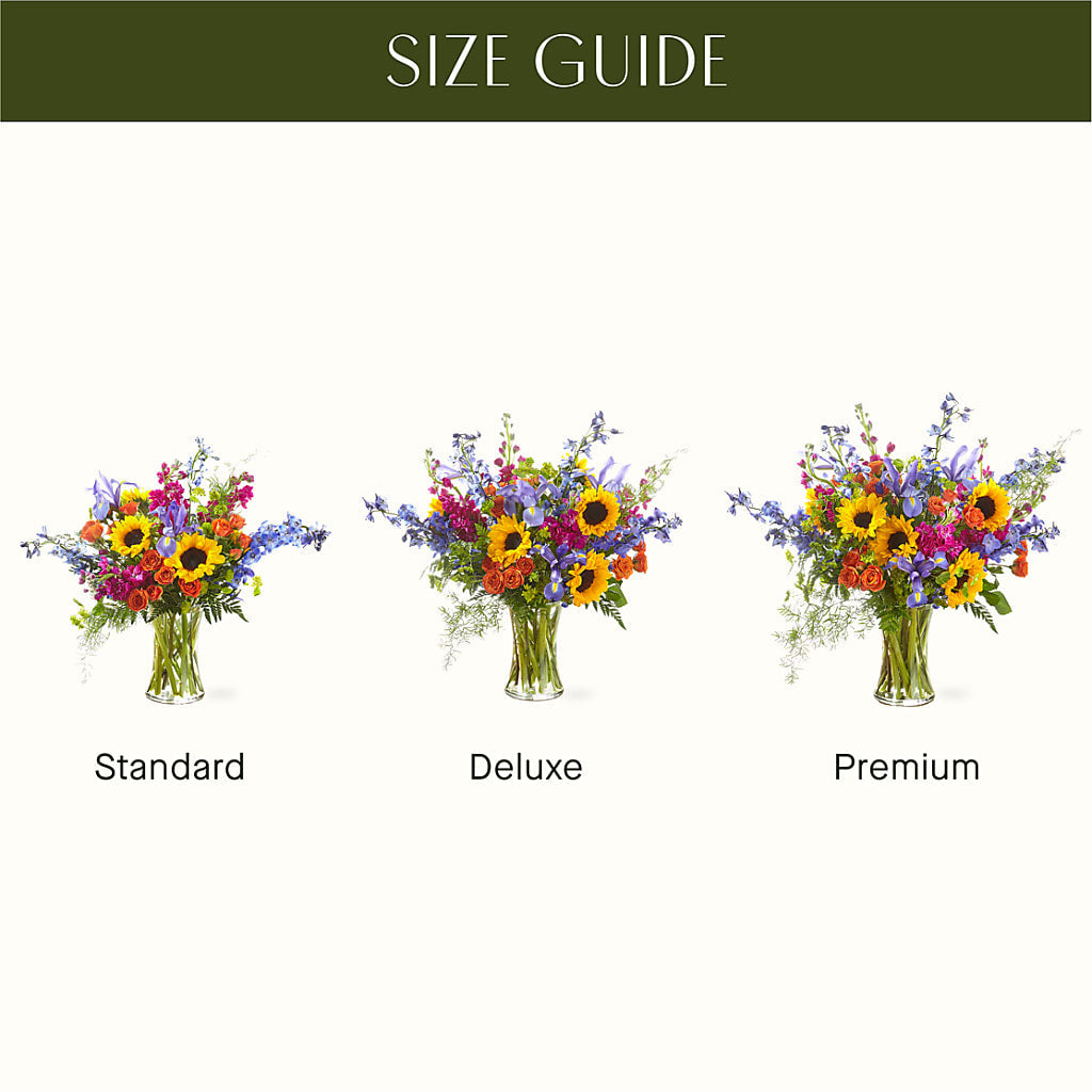 Rays of Life Bouquet – FELTY-ROLAND FLORIST & PLANT INC, Elizabethton TN