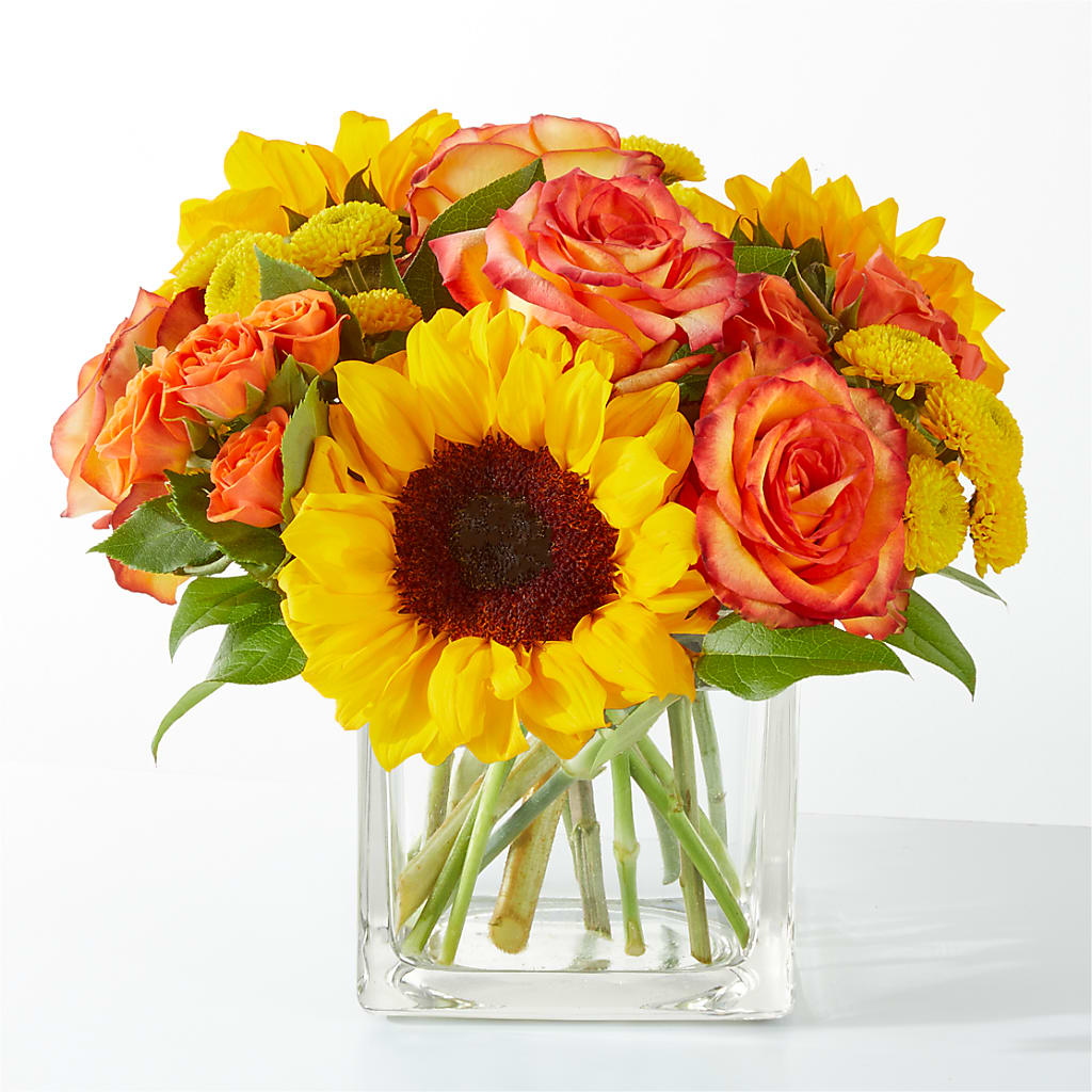 Picnic in the Park Bouquet – FELTY-ROLAND FLORIST & PLANT INC, Elizabethton TN