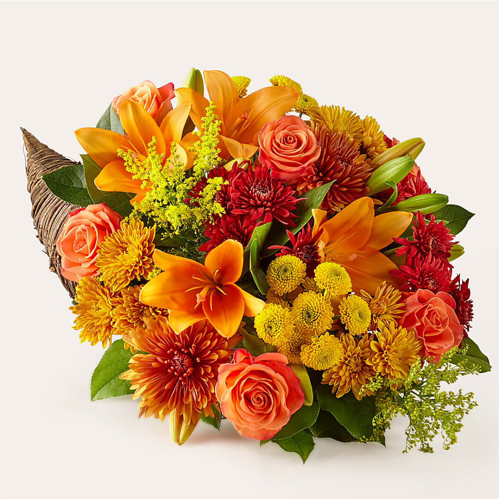 Feast of Color Cornucopia – FELTY-ROLAND FLORIST & PLANT INC, Elizabethton TN