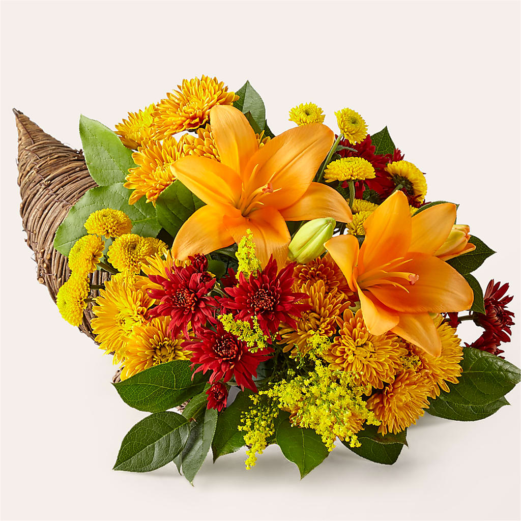 Feast of Color Cornucopia – FELTY-ROLAND FLORIST & PLANT INC, Elizabethton TN