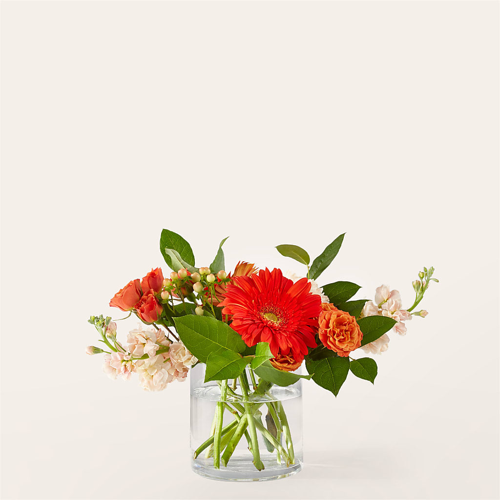 Paloma Please Bouquet – FELTY-ROLAND FLORIST & PLANT INC, Elizabethton TN