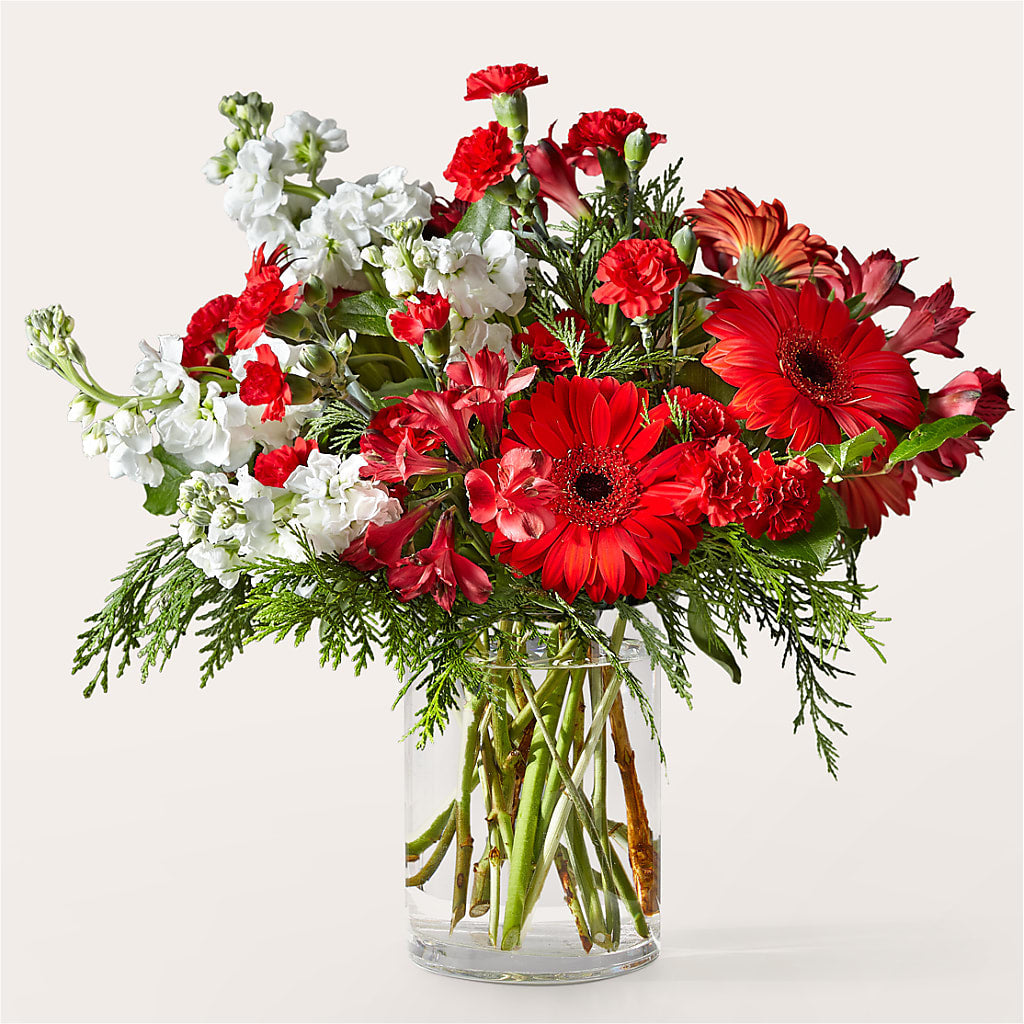 Holidaisy Bouquet – FELTY-ROLAND FLORIST & PLANT INC, Elizabethton TN