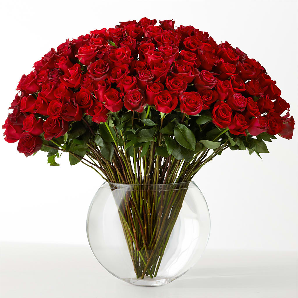 The Idealist – FELTY-ROLAND FLORIST & PLANT INC, Elizabethton TN