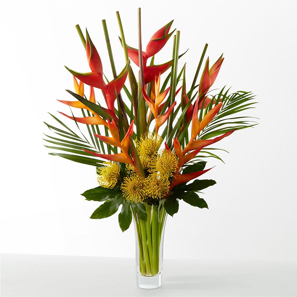 The Drama – FELTY-ROLAND FLORIST & PLANT INC, Elizabethton TN