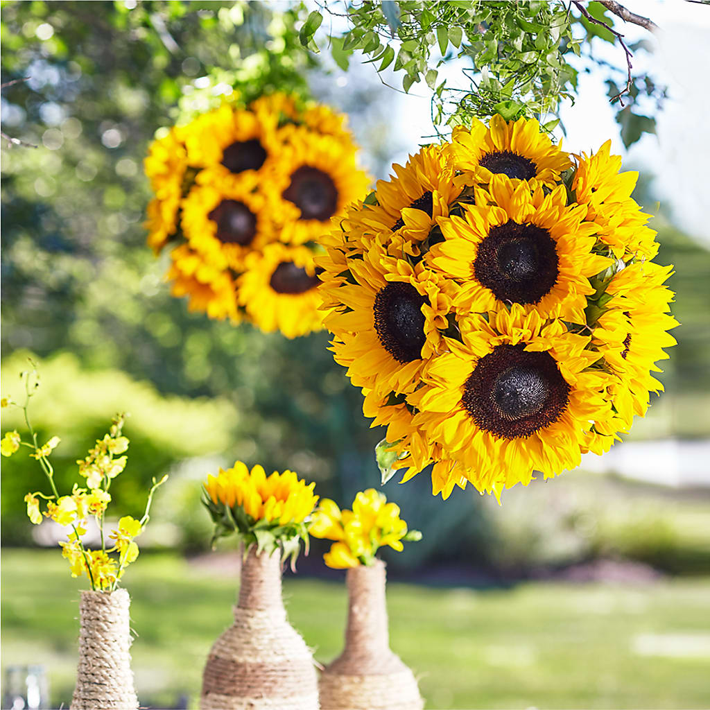 Sublime Garden Hanging Arrangement – FELTY-ROLAND FLORIST & PLANT INC, Elizabethton TN