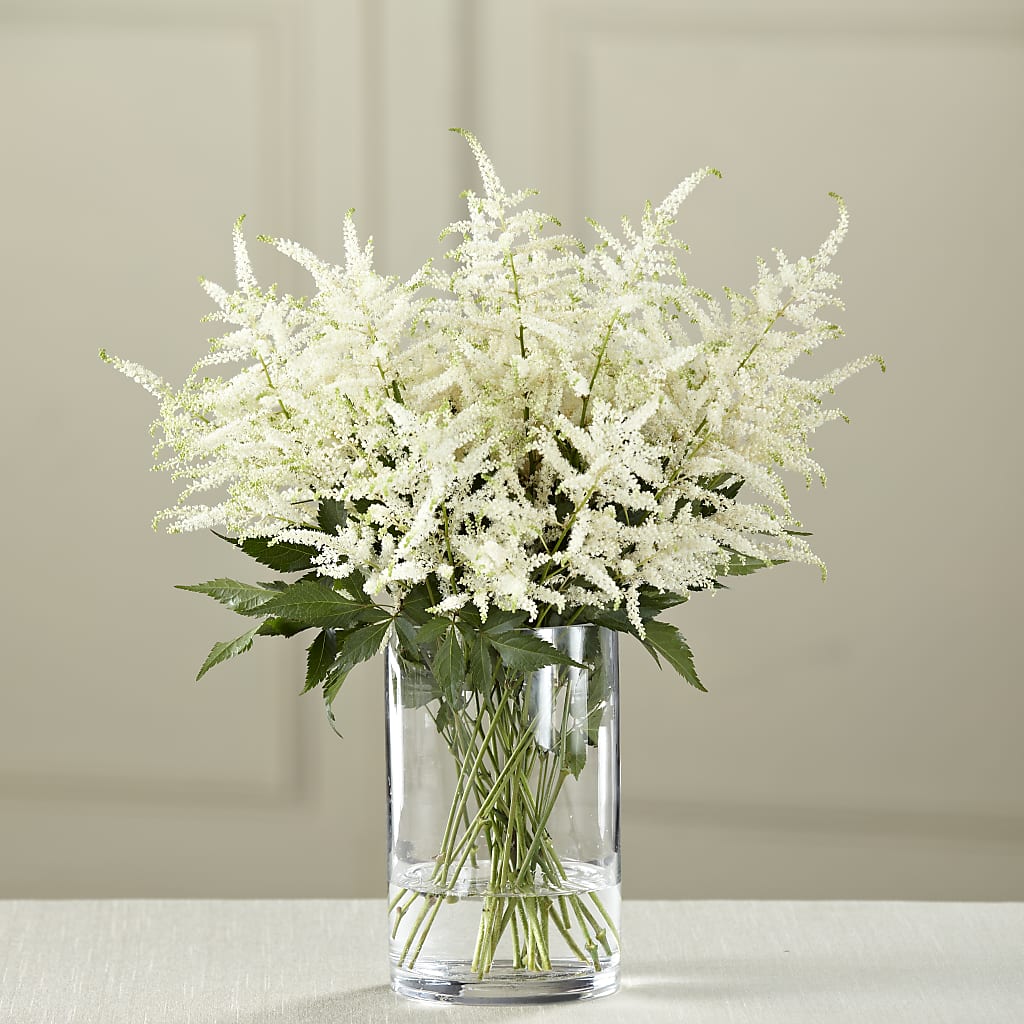 White Astilbe Bouquet – FELTY-ROLAND FLORIST & PLANT INC, Elizabethton TN
