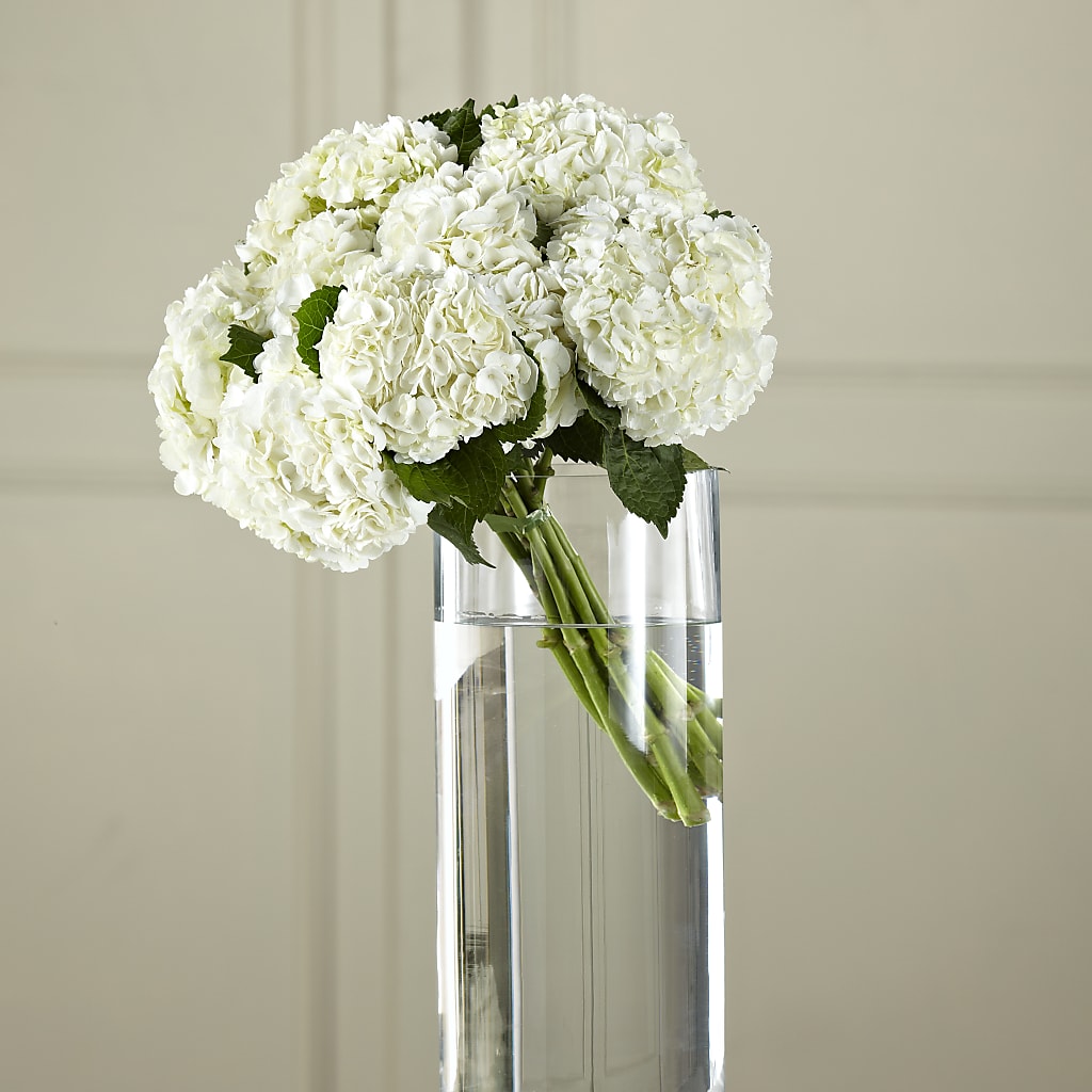 White Hydrangea Hand-Tied Bouquet – FELTY-ROLAND FLORIST & PLANT INC, Elizabethton TN