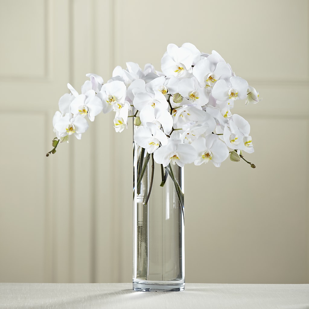 White Phalaenopsis Bouquet – FELTY-ROLAND FLORIST & PLANT INC, Elizabethton TN