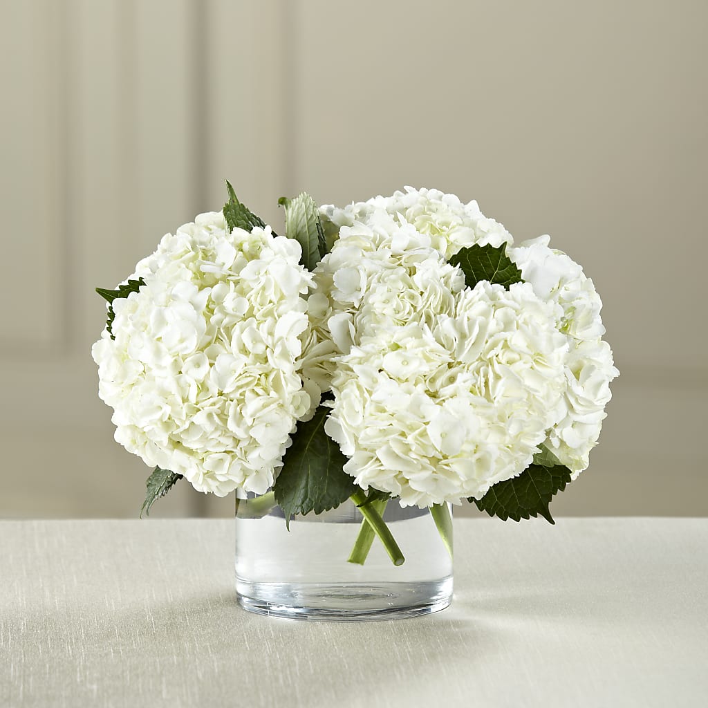 White Hydrangea Bouquet – FELTY-ROLAND FLORIST & PLANT INC, Elizabethton TN