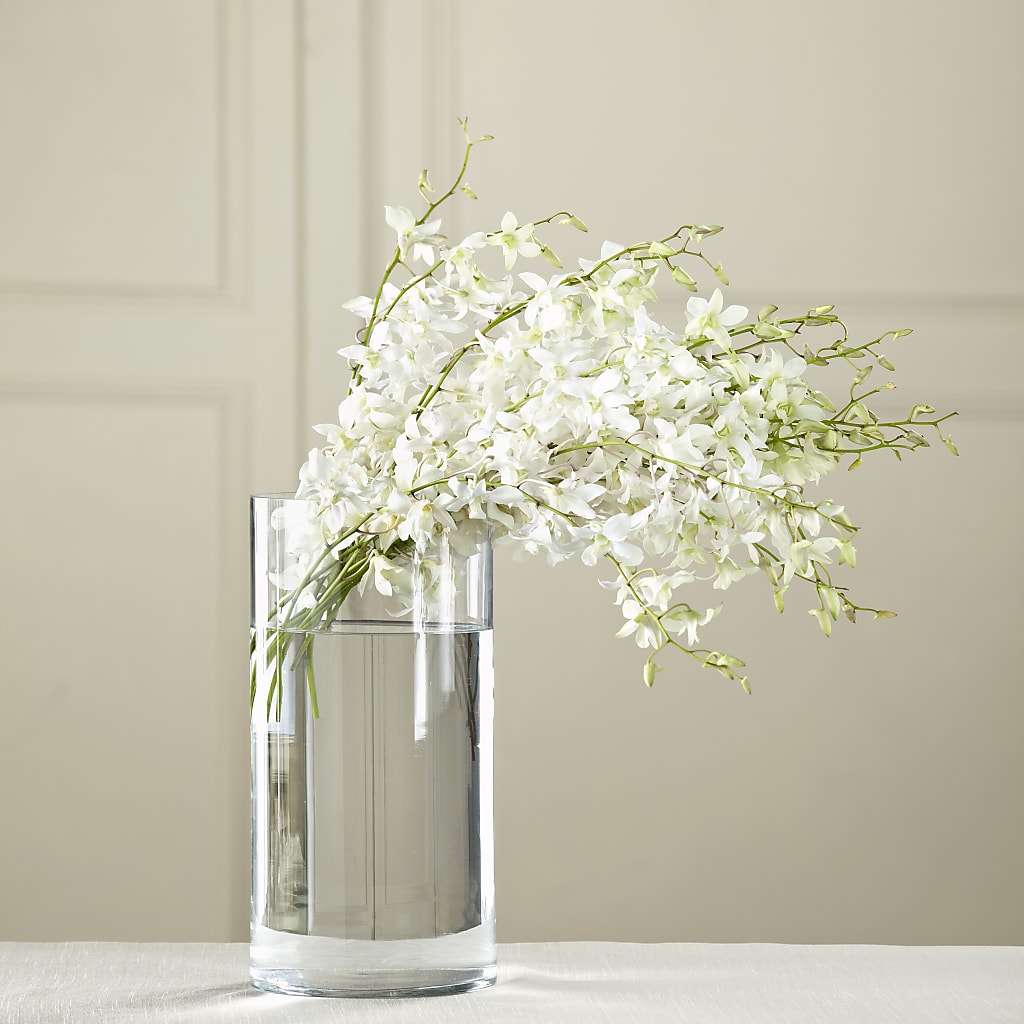 White Dendrobium Bouquet – FELTY-ROLAND FLORIST & PLANT INC, Elizabethton TN