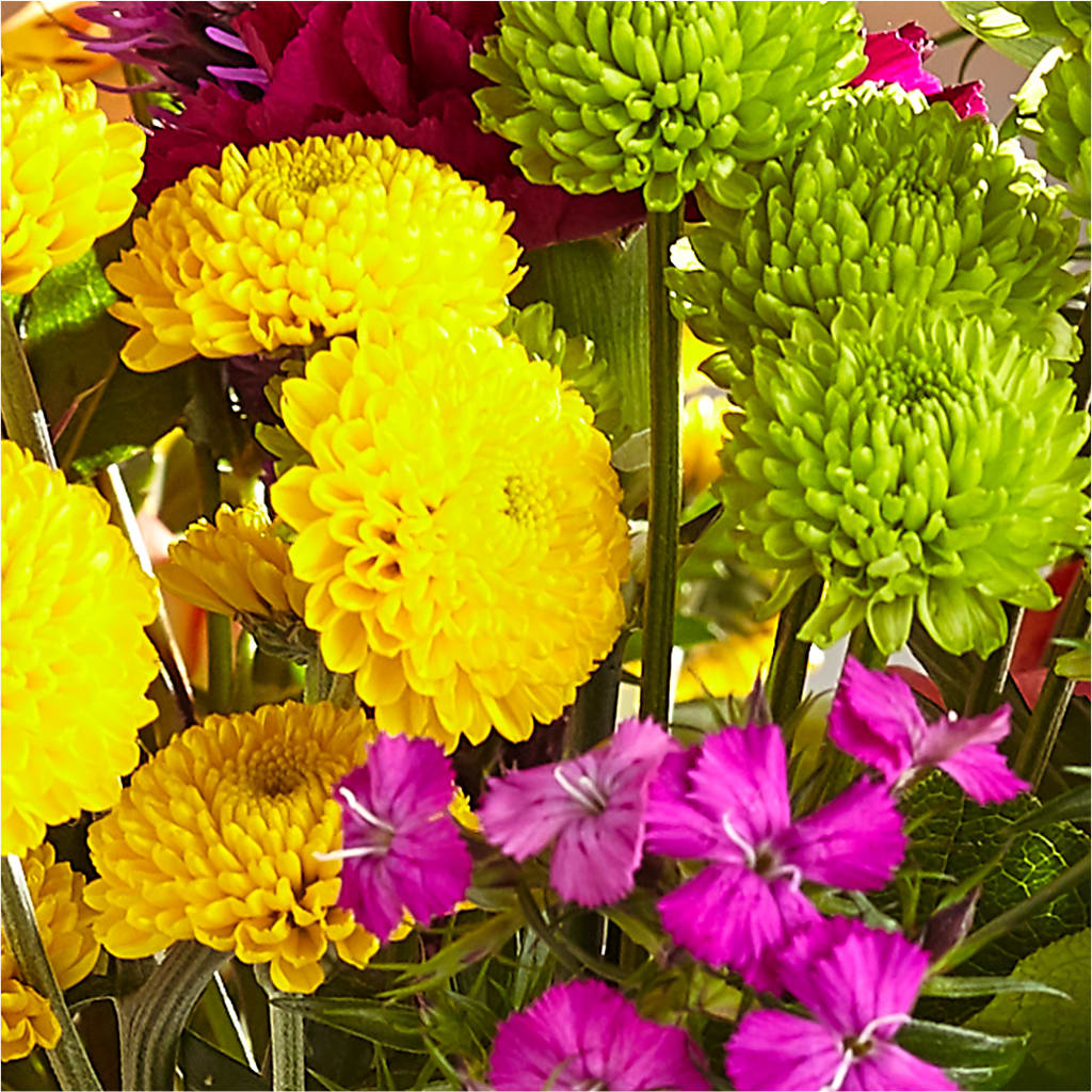 Bold & Bright – A Florist Original – FELTY-ROLAND FLORIST & PLANT INC, Elizabethton TN