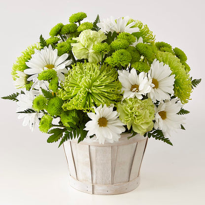 Lucky Charm Basket (Standard) – FELTY-ROLAND FLORIST & PLANT INC, Elizabethton TN