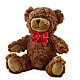 Adorable Plush Bear – FELTY-ROLAND FLORIST & PLANT INC, Elizabethton TN