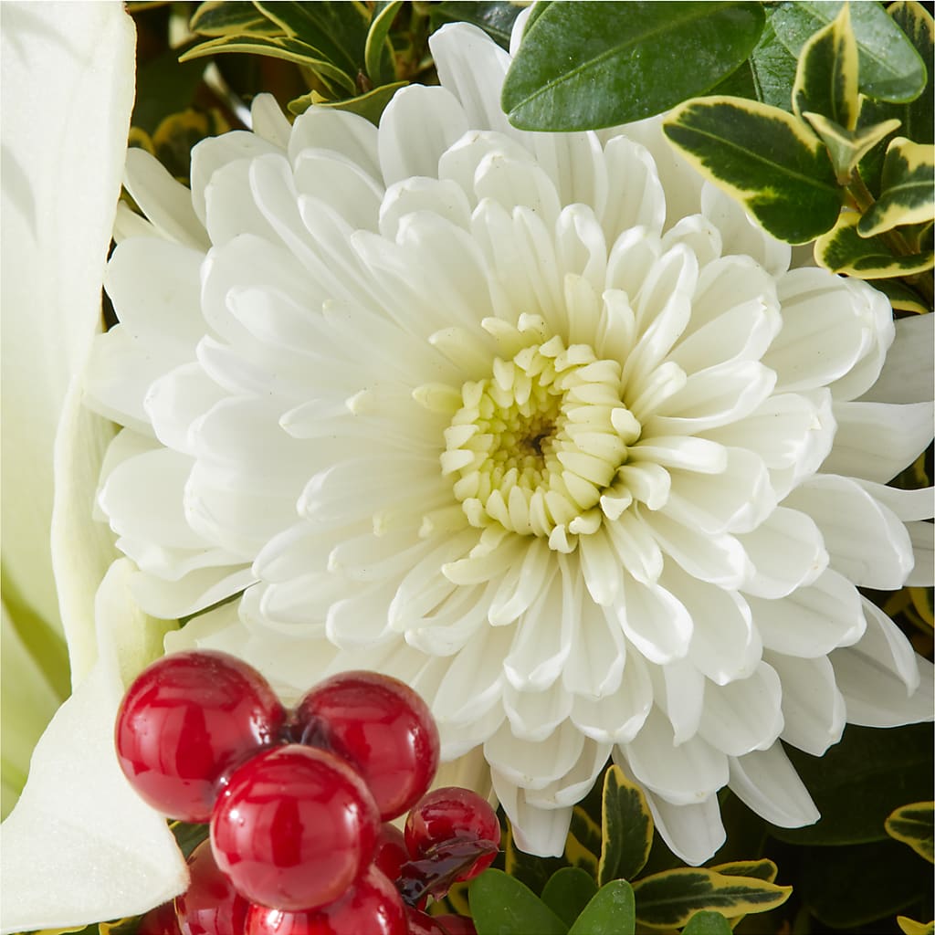 Festive Moments Tree – FELTY-ROLAND FLORIST & PLANT INC, Elizabethton TN