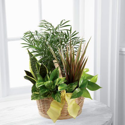 French Garden – FELTY-ROLAND FLORIST & PLANT INC, Elizabethton TN