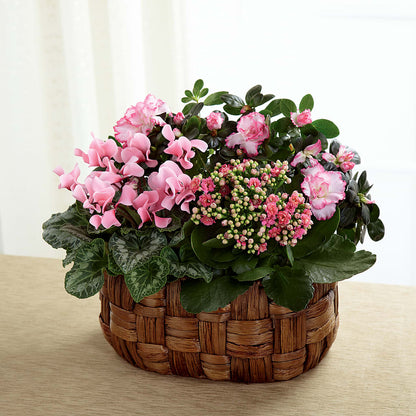 Pink Assortment – FELTY-ROLAND FLORIST & PLANT INC, Elizabethton TN