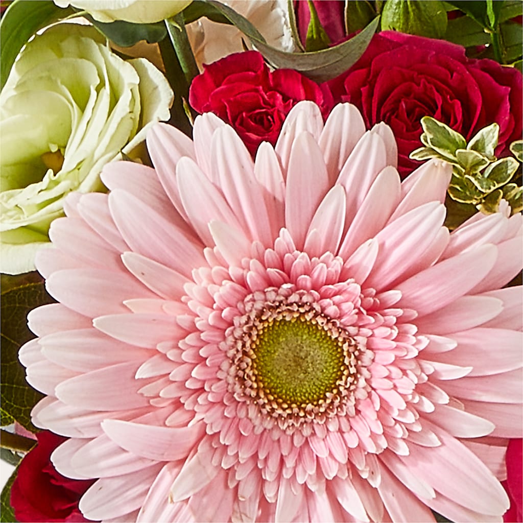 Too Cute Bouquet – FELTY-ROLAND FLORIST & PLANT INC, Elizabethton TN