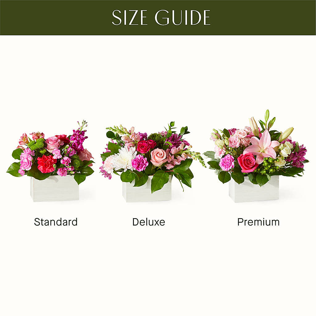 Sweetberry Box – A Florist Original – FELTY-ROLAND FLORIST & PLANT INC, Elizabethton TN