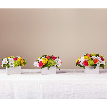 Sorbet Bouquet – FELTY-ROLAND FLORIST & PLANT INC, Elizabethton TN