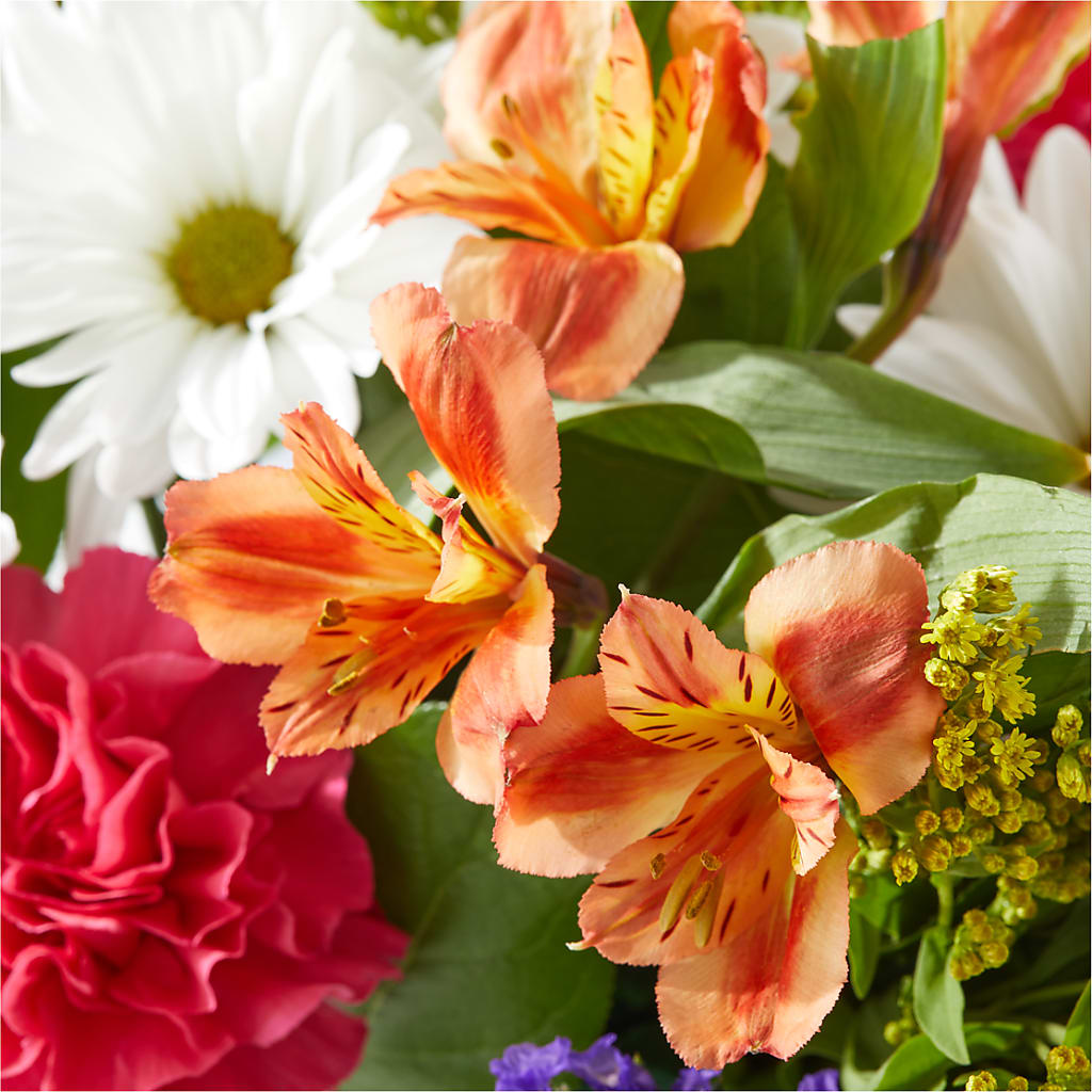 Oopsie Daisy Box Bouquet – FELTY-ROLAND FLORIST & PLANT INC, Elizabethton TN