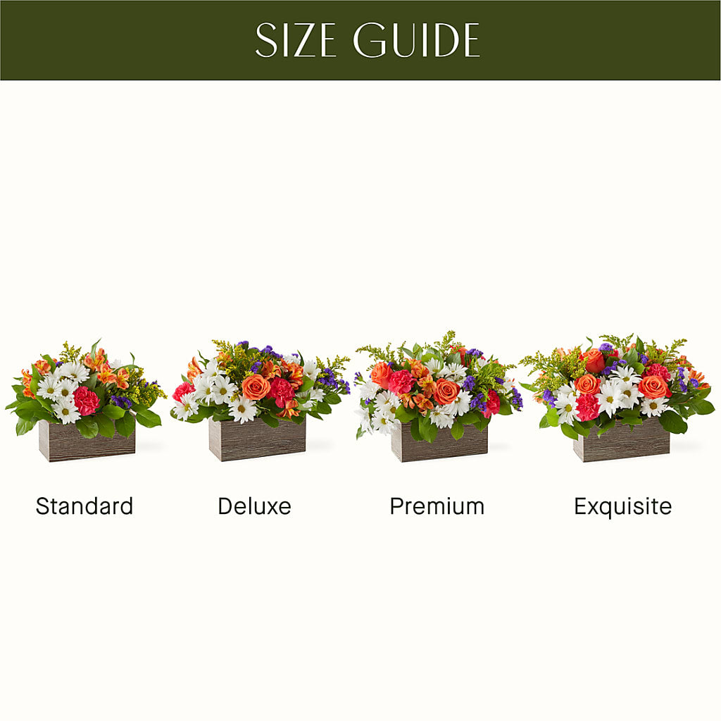 Oopsie Daisy Box Bouquet – FELTY-ROLAND FLORIST & PLANT INC, Elizabethton TN