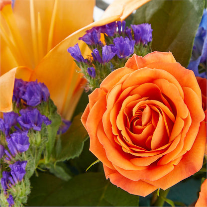 Radiant Citrus Box Bouquet – FELTY-ROLAND FLORIST & PLANT INC, Elizabethton TN