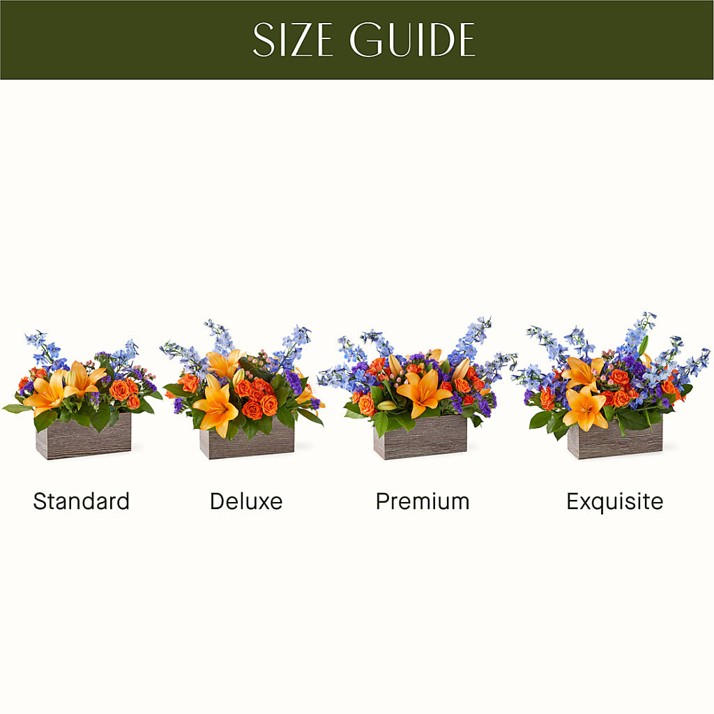 Radiant Citrus Box Bouquet – FELTY-ROLAND FLORIST & PLANT INC, Elizabethton TN