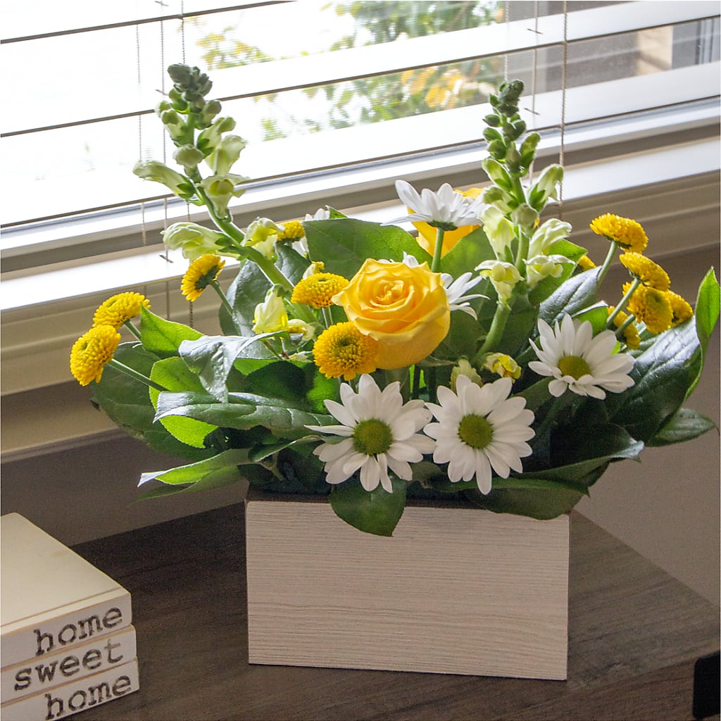 Sun Salutation Box Bouquet – FELTY-ROLAND FLORIST & PLANT INC, Elizabethton TN