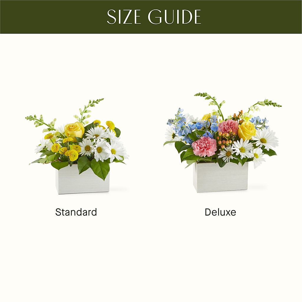 Sun Salutation Box Bouquet – FELTY-ROLAND FLORIST & PLANT INC, Elizabethton TN