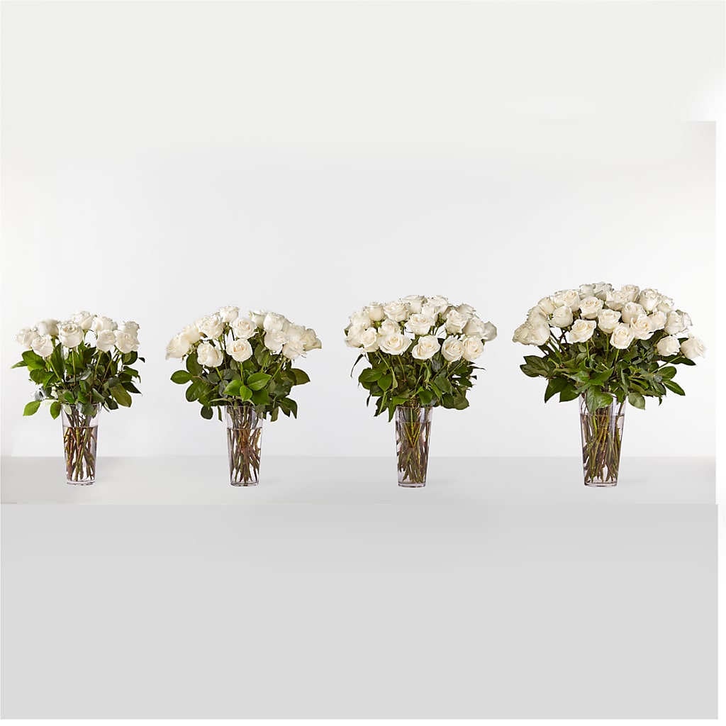 Long Stem White Rose Bouquet – FELTY-ROLAND FLORIST & PLANT INC, Elizabethton TN