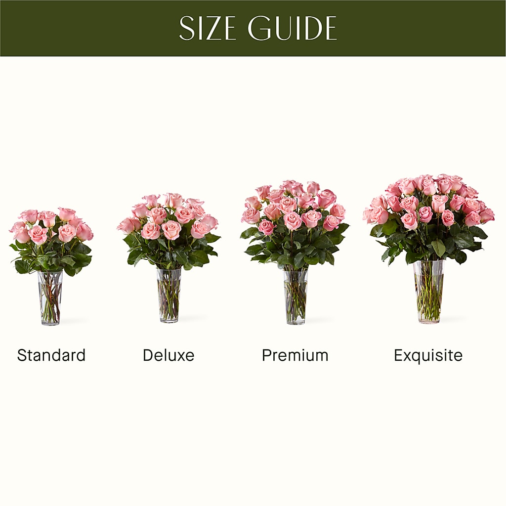 Long Stem Pink Rose Bouquet – FELTY-ROLAND FLORIST & PLANT INC, Elizabethton TN