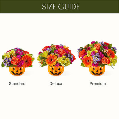 Tricks & Treats Pumpkin – FELTY-ROLAND FLORIST & PLANT INC, Elizabethton TN