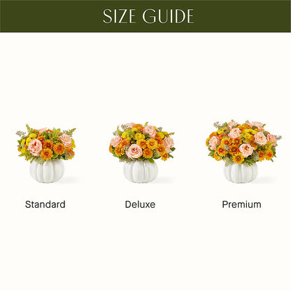 Peachy Pumpkin – FELTY-ROLAND FLORIST & PLANT INC, Elizabethton TN